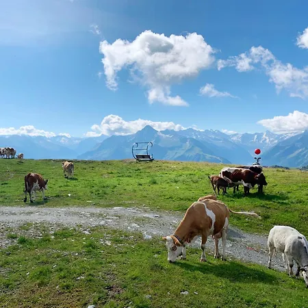Schneekarhuette Ξενοδοχείο