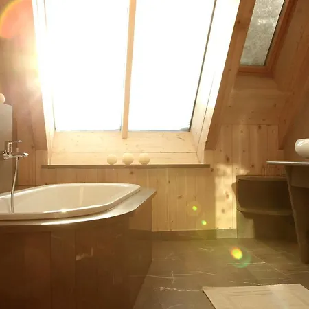 מלון Schneekarhuette *