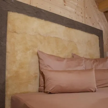 מלון Schneekarhuette