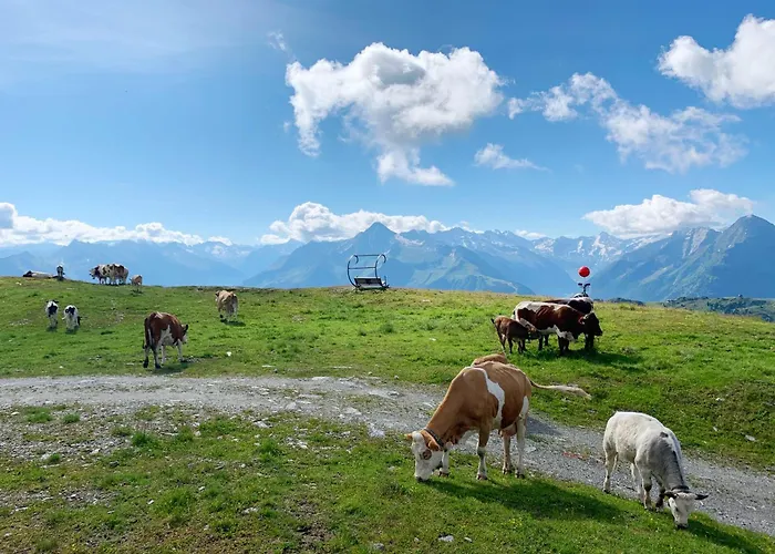 Schneekarhuette Szálloda